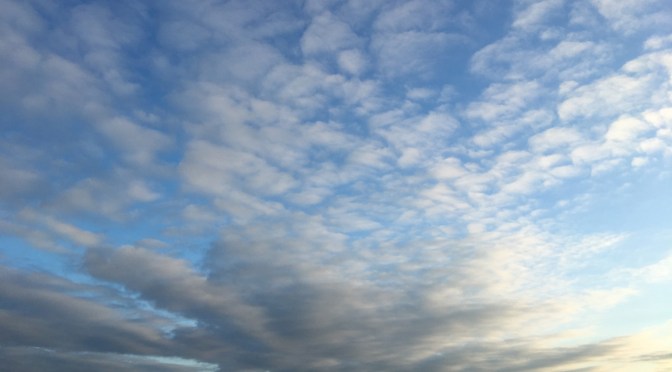 Blue eyes – October 2018