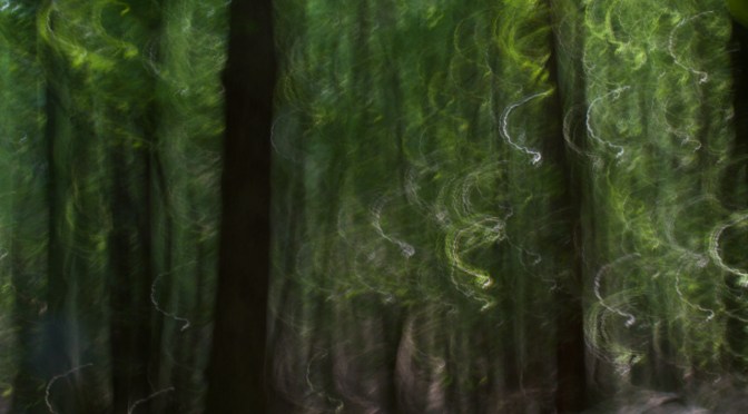 Dark and Light in 2020