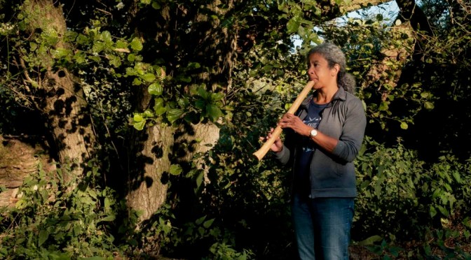 The Sound of Nature and Shakuhachi